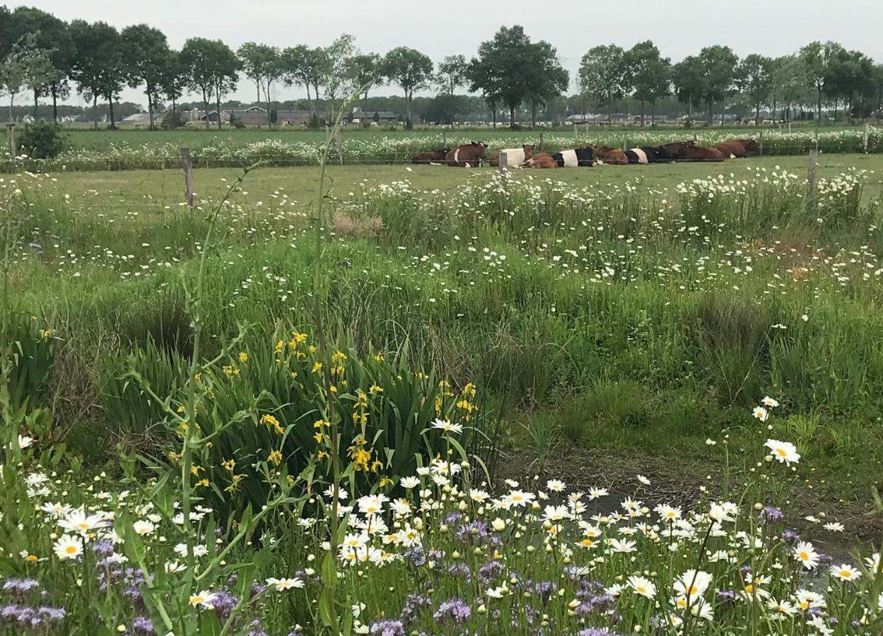 B&B In Ons Straatje Rosmalen Eksteriør bilde