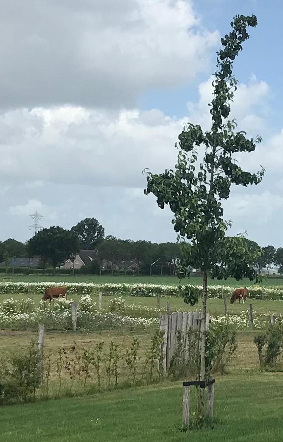 B&B In Ons Straatje Rosmalen Eksteriør bilde