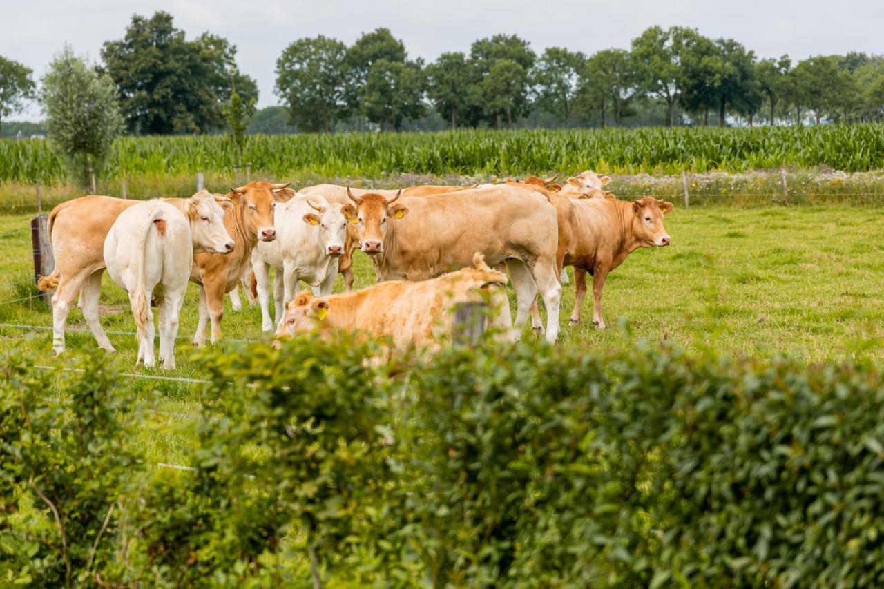 B&B In Ons Straatje Rosmalen Eksteriør bilde